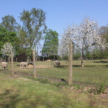 Beej Potters Weert Exterior foto
