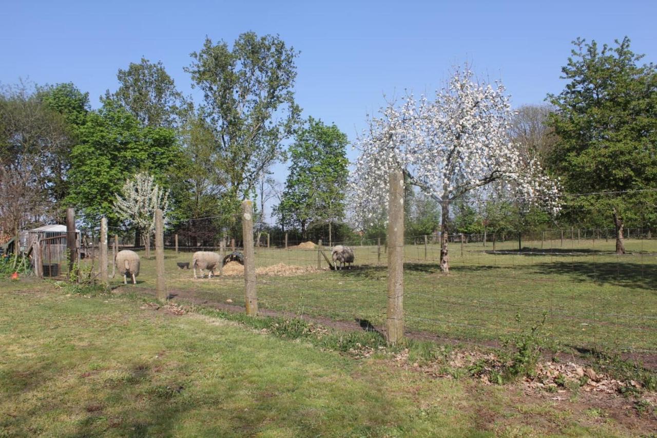 Beej Potters Weert Exterior foto